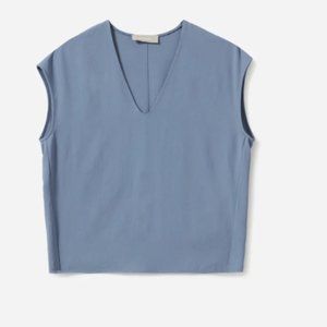 NWOT Everlane v neck blouse in dusty blue